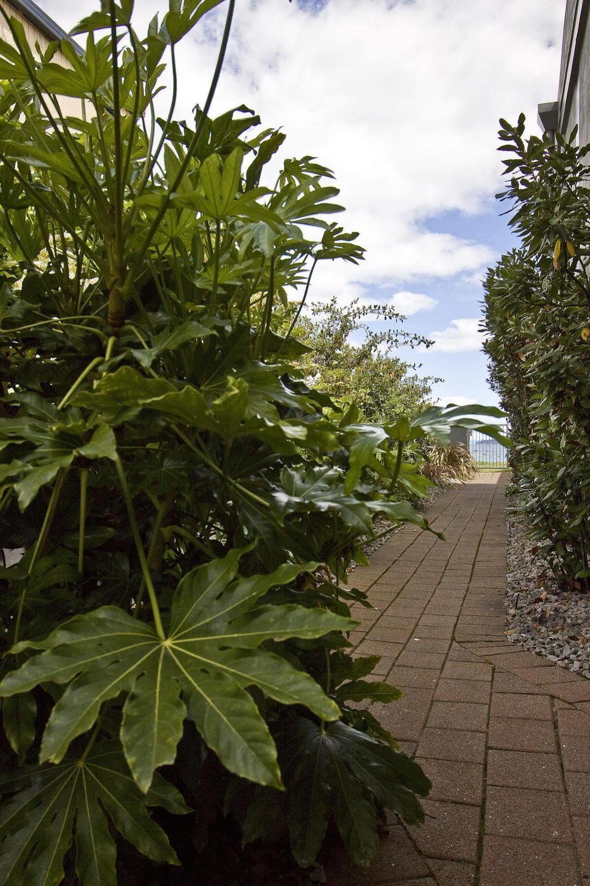 Clearwater Motor Lodge Taupo Eksteriør billede